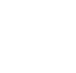 licensed, insured, and bonded seal